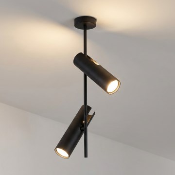 Brilagi - Lustra uz stieņa BRANCH 2xGU10/30W/230V melna
