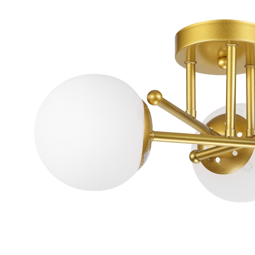 Brilagi - MALIVA uz virsmas piestiprināma griestu lustra 3xE14/15W/230V zelta/balta