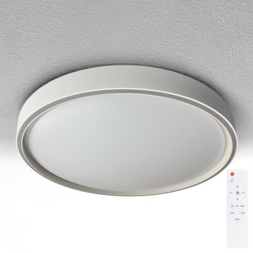 Brilagi - NANCI LED regulējams griestu gaismeklis LED/60W/230V 3000–6500K Ø 49 cm sudraba + ar tālvadības pulti