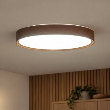 BRILAGI - NATURA LED griestu gaismeklis LED/24W/230V, 4000K, Ø 38,3 cm