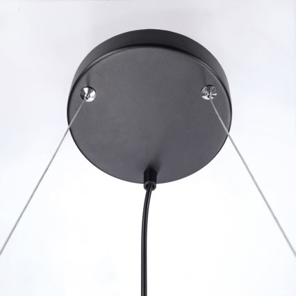 BRILAGI - Pakaramā lustra SELE uz troses 6xGU10/30W/230V melna
