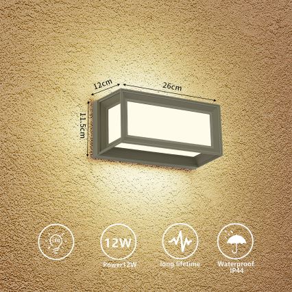 Brilagi - LED āra sienas gaismeklis PARKER LED/12W/230V 3000/4500/6000K pelēks IP44