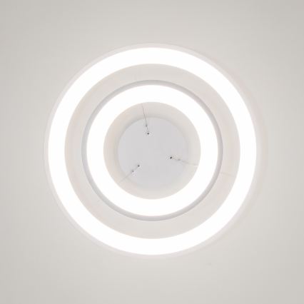 Brilagi - LED regulējama lustra uz kabeļa FALCON SLIM LED/68W/230V 3000-6500K Ø 50 cm balta + tālvadības pults