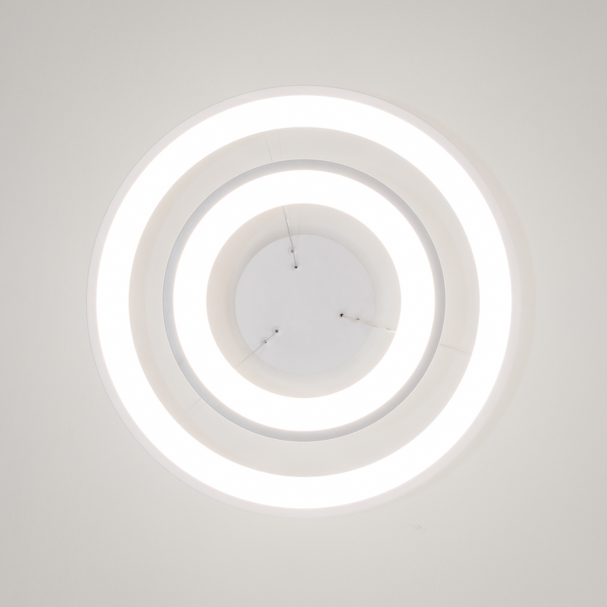 Brilagi - LED regulējama lustra uz kabeļa FALCON SLIM LED/68W/230V 3000-6500K Ø 50 cm balta + tālvadības pults