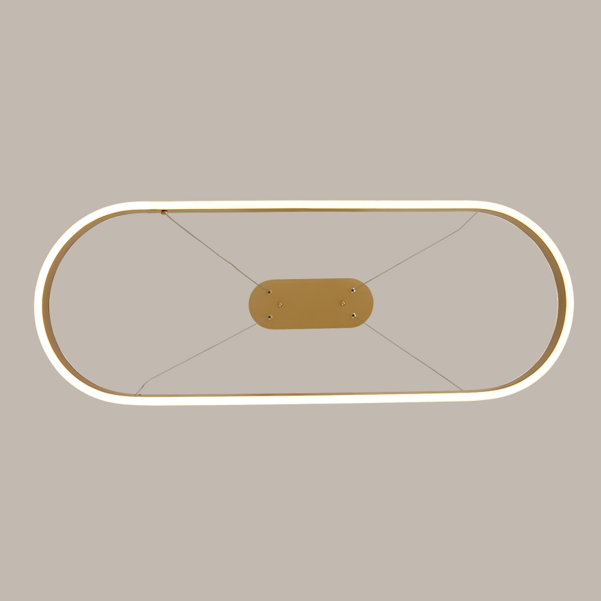 Brilagi - Piekaramā LED lustra uz troses PONDIE LED/44W/230V 80x30 cm, zelta krāsā