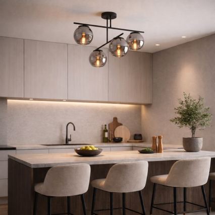 BRILAGI - Piestiprināma griestu lampa DIOR 4xE27/60W/230V melna/dūmakaini pelēka