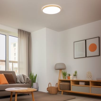 Brilagi - LED aptumšojams griestu gaismeklis PINE LED/60W/230V, koka, diametrs 52 cm, 3000-6500K + tālvadības pults