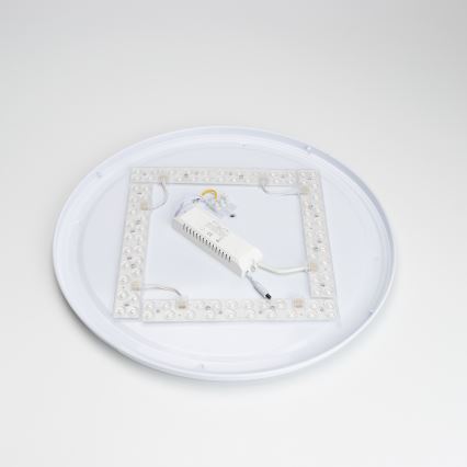 Brilagi - LED aptumšojams griestu gaismeklis PINE LED/60W/230V, koka, diametrs 52 cm, 3000-6500K + tālvadības pults