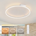Brilagi - PORTOFINO LED griestu lampa ar regulējamu spilgtumu, 60W, 230V, 3000–6000K, Ø 80 cm, balta + tālvadības pults