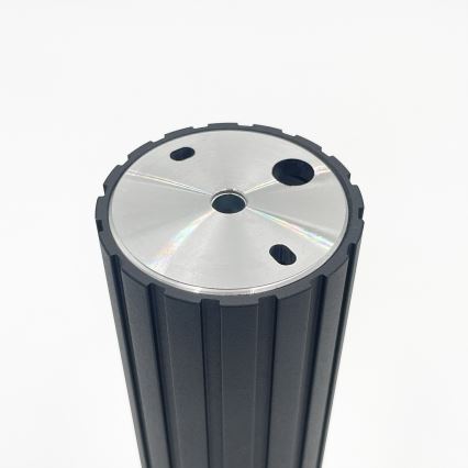 Brilagi - Punktveida gaismeklis CRISPINA 1xGU10/10W/230V 20 cm melns