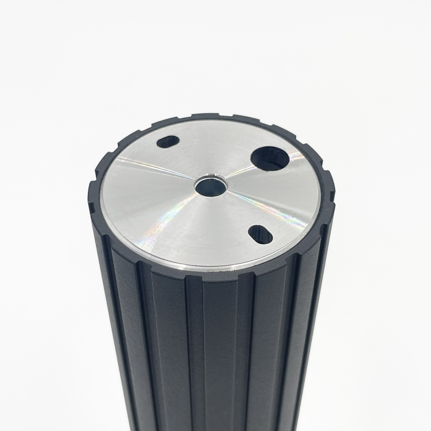 Brilagi - Punktveida gaismeklis CRISPINA 1xGU10/10W/230V 20 cm melns