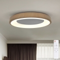 BRILAGI - regulējama LED griestu lampa DORIA LED/60W/230V 3000-6500K Ø 60 cm + ar tālvadības pulti