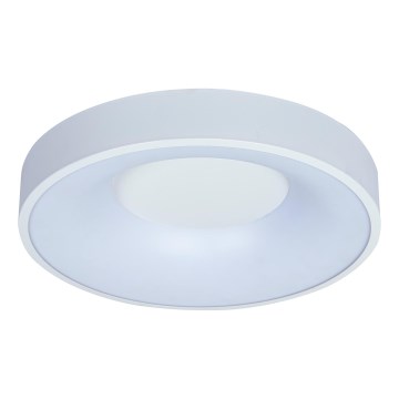 Brilagi - Regulējama LED griestu lampa FALCON II LED/67W/230V 3000-6500K Ø 40 cm balta + tālvadības pults