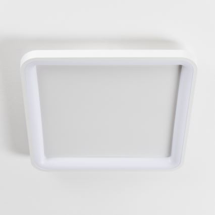 Brilagi - LED aptumšojams griestu gaismeklis FALCON SLIM LED/50W/230V 3000-6500K 50x50 cm balts + tālvadības pults