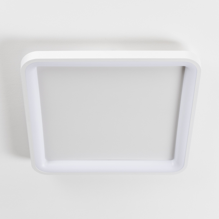 Brilagi - LED aptumšojams griestu gaismeklis FALCON SLIM LED/50W/230V 3000-6500K 50x50 cm balts + tālvadības pults