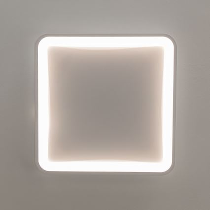 Brilagi - LED aptumšojams griestu gaismeklis FALCON SLIM LED/50W/230V 3000-6500K 50x50 cm balts + tālvadības pults