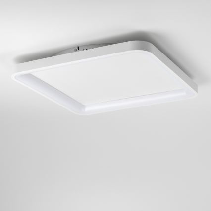 Brilagi - LED aptumšojams griestu gaismeklis FALCON SLIM LED/50W/230V 3000-6500K 50x50 cm balts + tālvadības pults