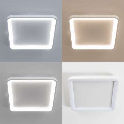 Brilagi - LED aptumšojams griestu gaismeklis FALCON SLIM LED/50W/230V 3000-6500K 50x50 cm balts + tālvadības pults