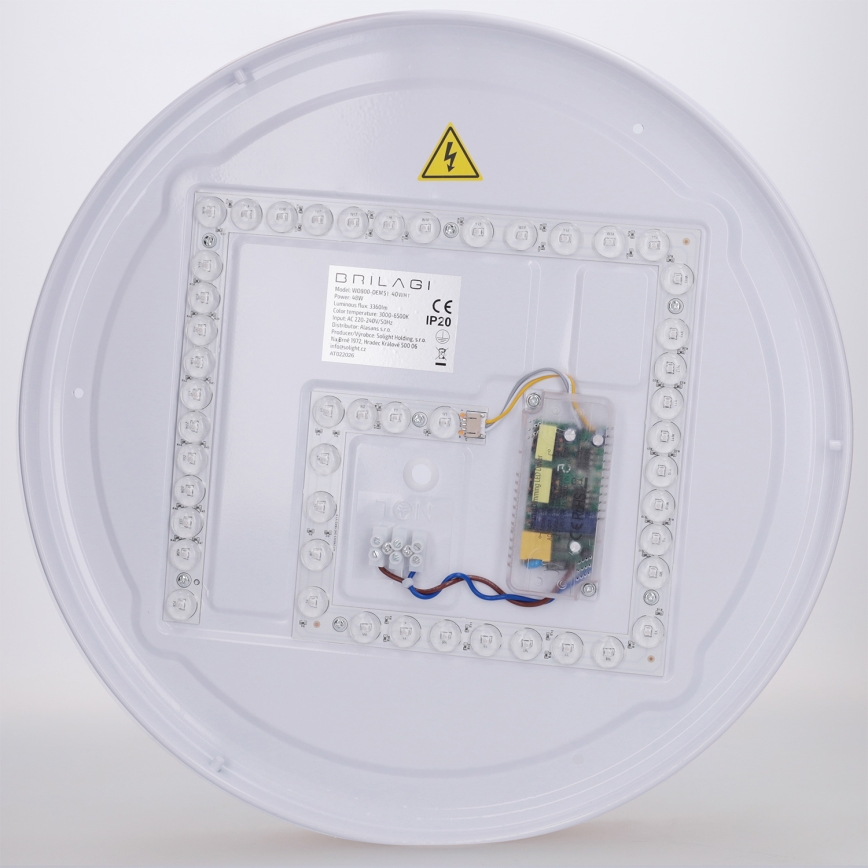 Brilagi - FLOCO LED griestu gaismeklis ar regulējamu spilgtumu LED/48W/230V Ø 40 cm koka dekors/balts + tālvadības pults