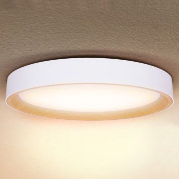 Brilagi - Regulējama LED griestu lampa LARIOS LED/72W/230V balta Ø 59 cm + tālvadības pults