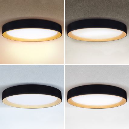 Brilagi - dimmējams griestu gaismeklis LARIOS LED/72W/230V 3000-6500K melns Ø 59 cm + ar tālvadības pulti