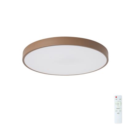 Brilagi - LED regulējama griestu lampa POOL LED/60W/230V 3000-6000K Ø 50 cm brūna + tālvadības pults