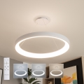 Brilagi - regulējama LED karāma lustra uz troses FALCON II LED/108W/230V 3000-6500K Ø 80 cm balta + tālvadības pults