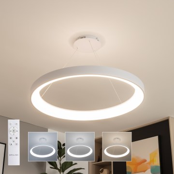 Brilagi - regulējama LED karāma lustra uz troses FALCON II LED/108W/230V 3000-6500K Ø 80 cm balta + tālvadības pults
