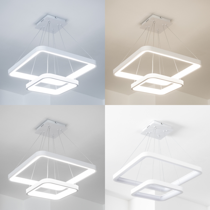 Brilagi - Regulējams LED lustrs uz troses FALCON SLIM LED/78W/230V 3000-6500K 50x50 cm balts + tālvadības pults