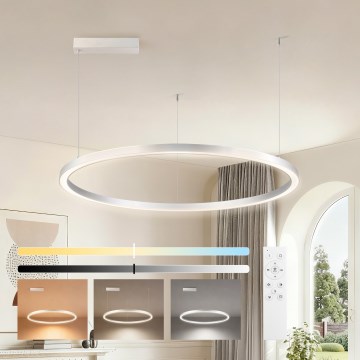 Brilagi - regulējama LED lustra uz kabeļa PORTOFINO LED/60W/230V 3000-6000K pr. 80 cm sudraba + tālvadības pults