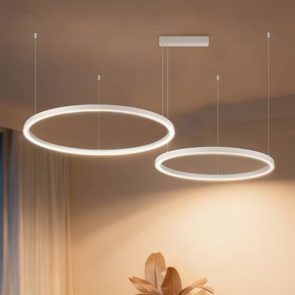 Brilagi - LED aptumšojama lustra uz troses PORTOFINO LED/98W/230V 3000-6000K balta + ar tālvadības pulti