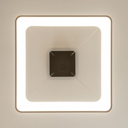 Brilagi - LED regulējama pakaramā lampa uz troses FALCON II LED/125W/230V 3000-6500K 60x60 cm melna + tālvadības pults