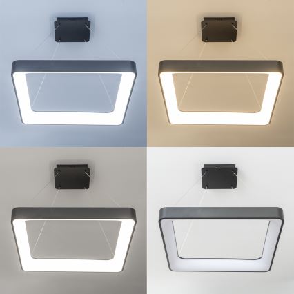 Brilagi - LED regulējama pakaramā lampa uz troses FALCON II LED/125W/230V 3000-6500K 60x60 cm melna + tālvadības pults