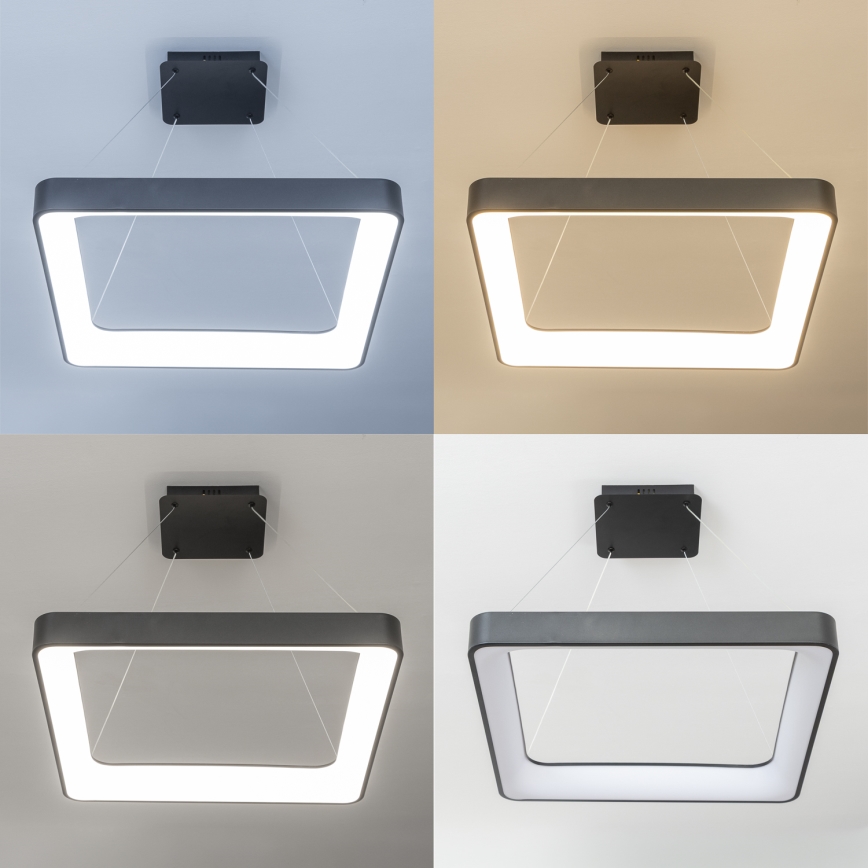 Brilagi - LED regulējama pakaramā lampa uz troses FALCON II LED/125W/230V 3000-6500K 60x60 cm melna + tālvadības pults