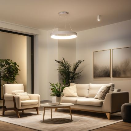 Brilagi - LED dimējama lustra uz troses FALCON II LED/99W/230V 3000-6500K Ø 60 cm balta + tālvadības pults