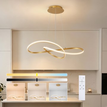 Brilagi - regulējama LED lustra uz troses INFINITY LED/80W/230V 3000-6000K 80x80 cm zelta + tālvadība