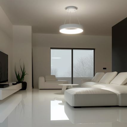 Brilagi - regulējams LED lustrs uz troses FALCON LED/40W/230V 3000–6500K Ø45 cm balts + ar tālvadības pulti