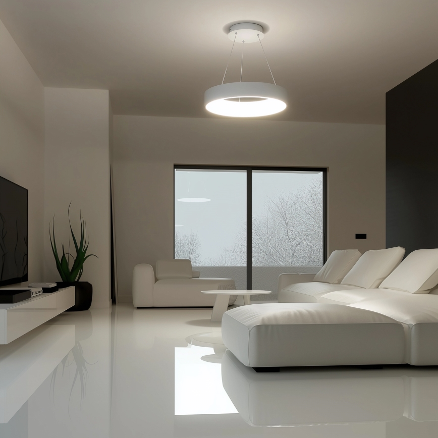 Brilagi - regulējams LED lustrs uz troses FALCON LED/40W/230V 3000–6500K Ø45 cm balts + ar tālvadības pulti