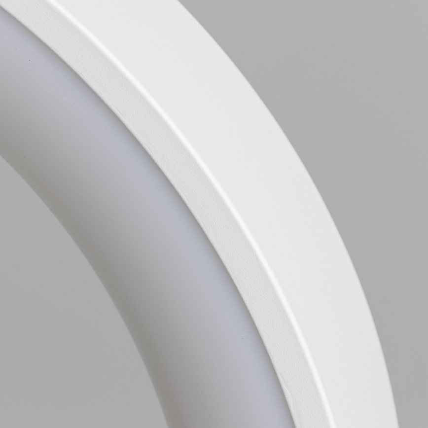 Brilagi - regulējams LED lustrs uz troses FALCON LED/40W/230V 3000–6500K Ø45 cm balts + ar tālvadības pulti