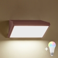 Brilagi - regulējama RGBW LED āra sienas lampa TRIANGLE 1xE27/9W/230V 2700-6500K IP65 brūna