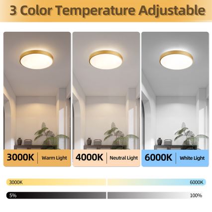 Brilagi - Aptumšojams LED griestu gaismeklis GLASS POOL DOUBLE LED/48W/230V 3000-6000K 40 cm zelta + tālvadības pults