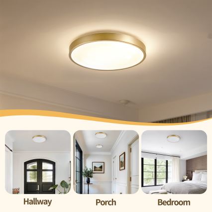 Brilagi - Aptumšojams LED griestu gaismeklis GLASS POOL DOUBLE LED/48W/230V 3000-6000K 40 cm zelta + tālvadības pults