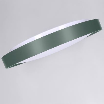 Brilagi - Regulējama LED griestu lampa MATTEO LED/48W/230V 3000-6500K Ø 41 cm zaļa + tālvadības pults