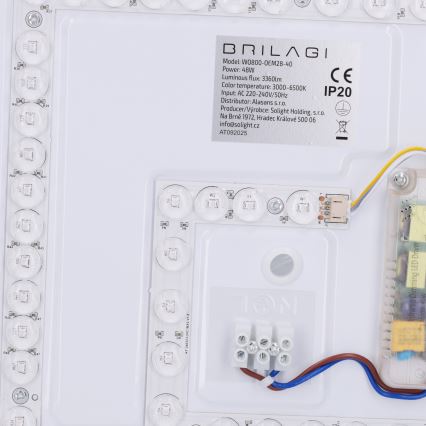 Brilagi - LED regulējams griestu gaismeklis NAOMI LED/48W/230V 3000-6500K Ø 39 cm melns + tālvadības pults