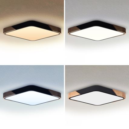 Brilagi - LED dimējamais griestu gaismeklis PILANA LED/48W/230V 3000-6500K ozols/melns 56x56 cm + tālvadība