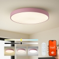 Brilagi - Regulējams LED gaismeklis POOL SMART LED/100W/230V Ø 80 cm 3000-6000K Wi-Fi Tuya + ar tālvadību rozā