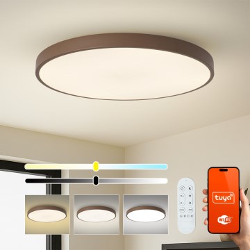 Brilagi - Regulējams LED gaismeklis POOL SMART LED/128W/230V Ø 100 cm 3000–6000K Wi-Fi Tuya + tālvadības pults brūns
