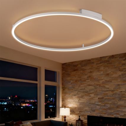 Brilagi - LED dimējams griestu lukturis PORTOFINO LED/85W/230V 3000-6000K Ø 120 cm sudraba + ar tālvadības pulti