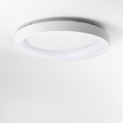 Brilagi - LED dimmējams griestu gaismeklis FALCON II LED/99W/230V 3000-6500K Ø 60 cm balts + ar tālvadības pulti