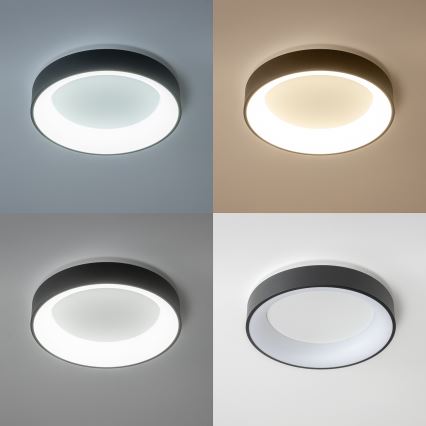 Brilagi - LED griestu lampa ar regulējamu spilgtumu FALCON LED/80W/230V 3000-6500K Ø 60 cm melna + tālvadības pults